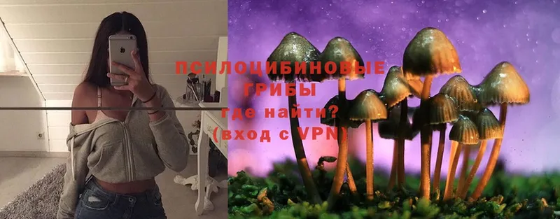 Галлюциногенные грибы MAGIC MUSHROOMS  Артёмовск 