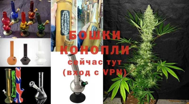 Бошки Шишки White Widow  Артёмовск 